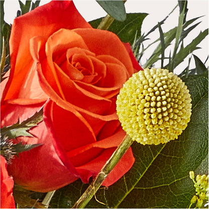 Disco Bouquet –  Bloom Boutique Ny, Lake Grove NY