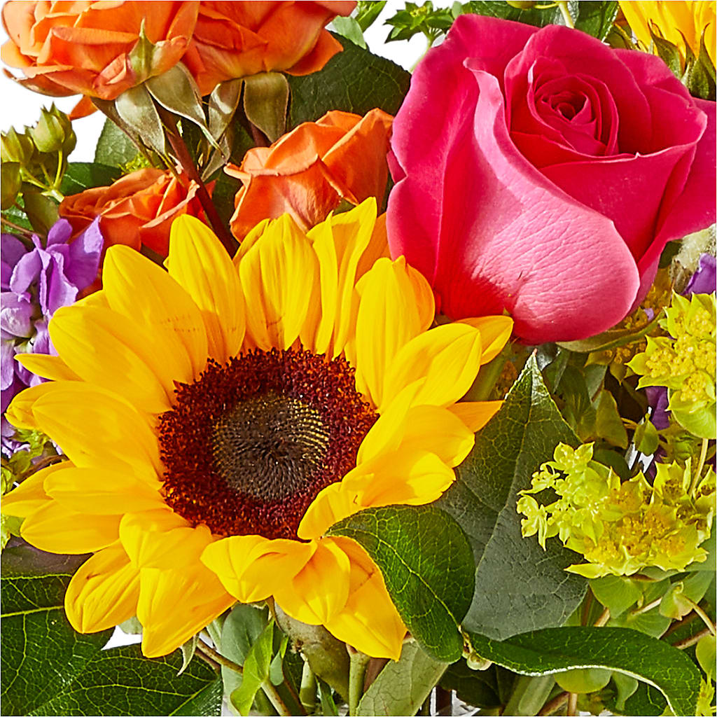 Vibrant Greetings Bouquet –  Bloom Boutique Ny, Lake Grove NY