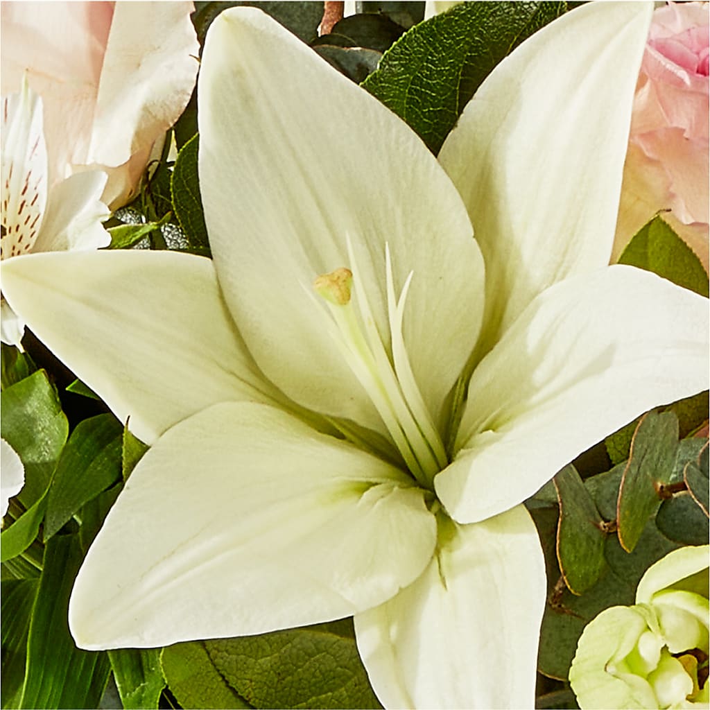 Ballet Slippers Bouquet –  Bloom Boutique Ny, Lake Grove NY