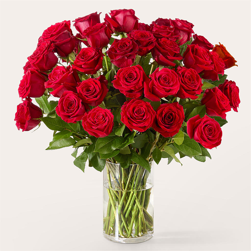 The One Red Rose Bouquet –  Bloom Boutique Ny, Lake Grove NY