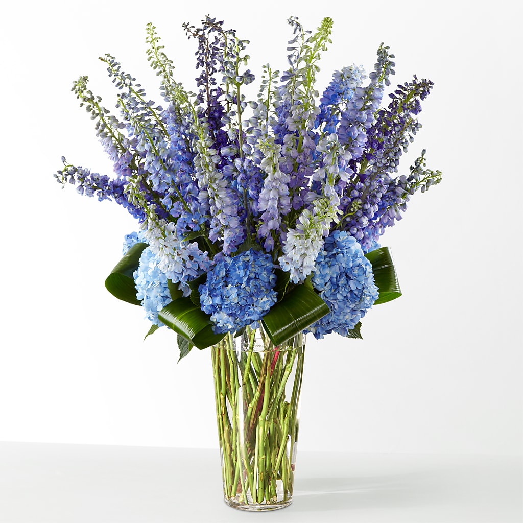 The Editorial –  Bloom Boutique Ny, Lake Grove NY