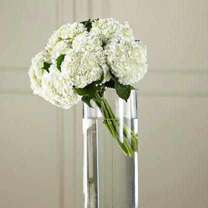 White Hydrangea Hand-Tied Bouquet –  Bloom Boutique Ny, Lake Grove NY