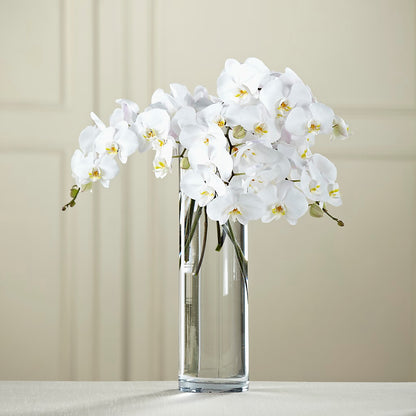 White Phalaenopsis Bouquet –  Bloom Boutique Ny, Lake Grove NY