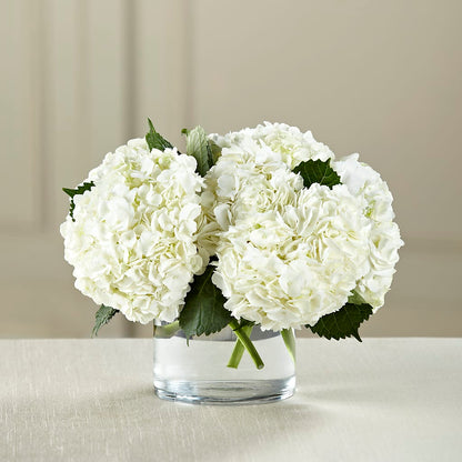 White Hydrangea Bouquet –  Bloom Boutique Ny, Lake Grove NY